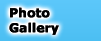 Photo Gallery